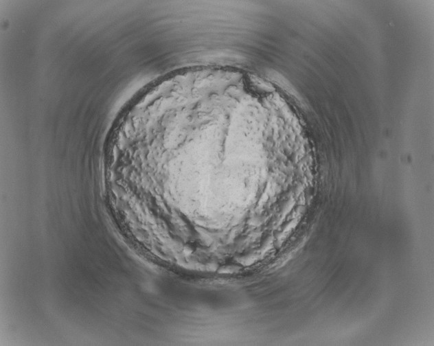 X0000076251079200610191643