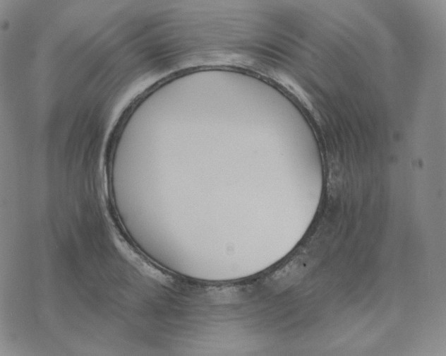 X0000076251080200610191643