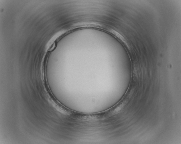 X0000076251082200610191643