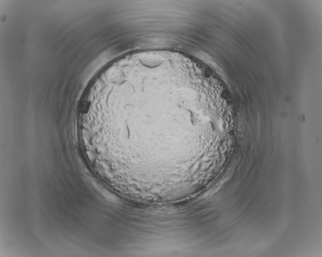 X0000076251083200610191643