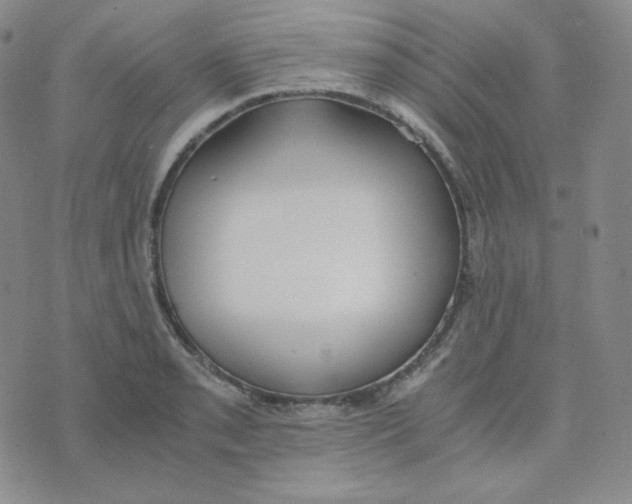 X0000076251085200610191643