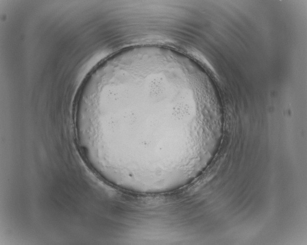 X0000076251087200610191643