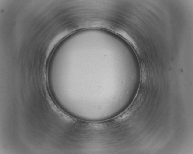 X0000076251088200610191643