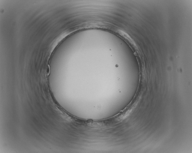 X0000076251089200610191643