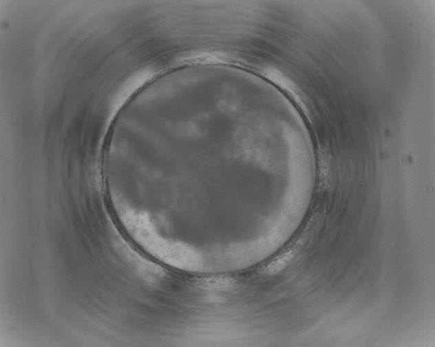 X0000076251090200610191643