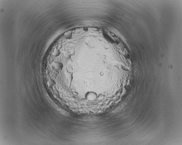 X0000076251091200610191643