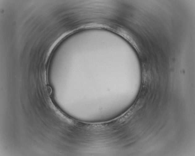 X0000076251092200610191643