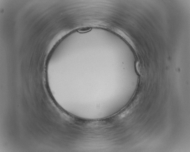 X0000076251093200610191643