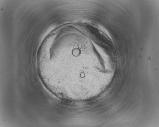 X0000076251095200610191642