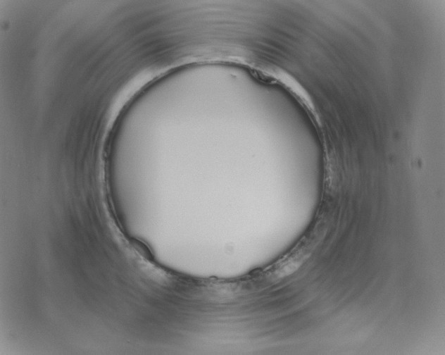 X0000076251096200610191642