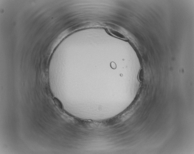 X0000076251097200610191642