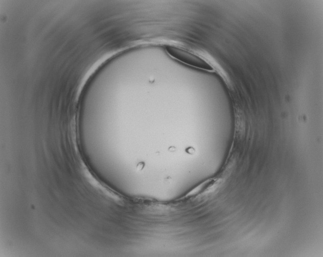 X0000076251100200610191642