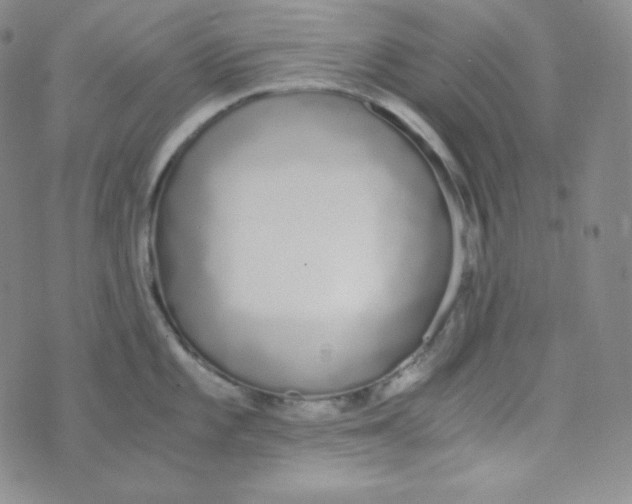 X0000076251101200610191642