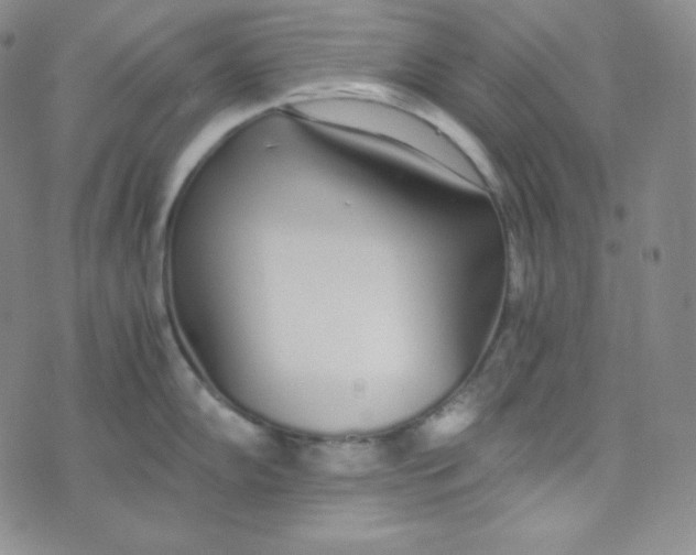 X0000076251102200610191642