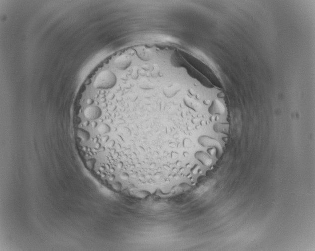 X0000076251103200610191642