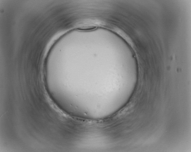 X0000076251104200610191642