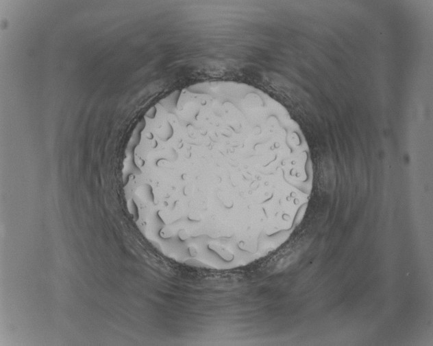 X0000076251105200610191642