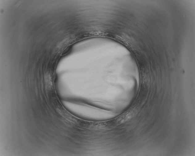 X0000076251106200610191642