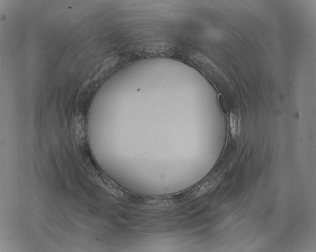 X0000076251107200610191642