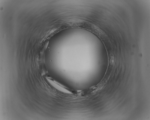 X0000076251108200610191642