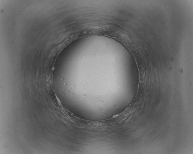 X0000076251109200610191642