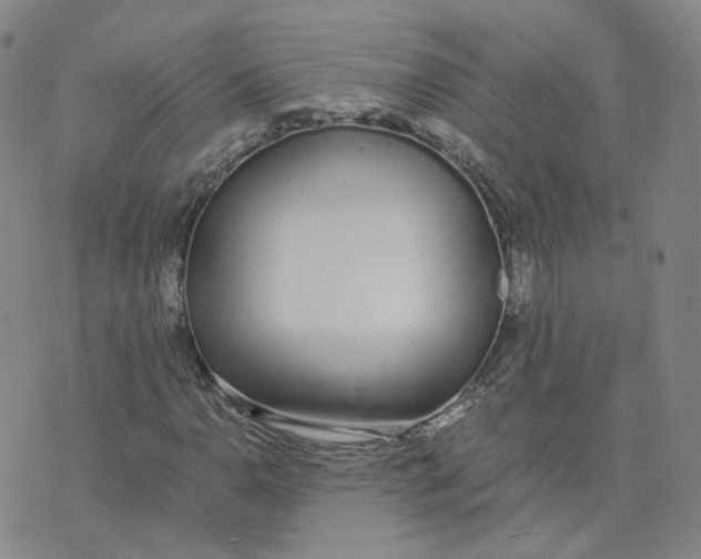 X0000076251110200610191642