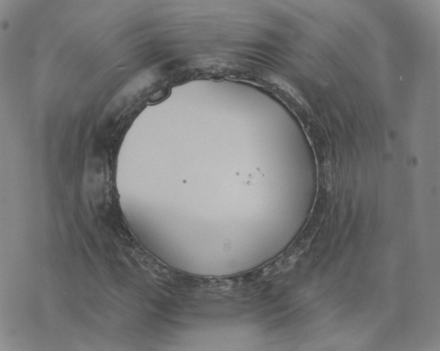 X0000076251111200610191642