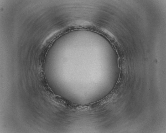 X0000076251112200610191642