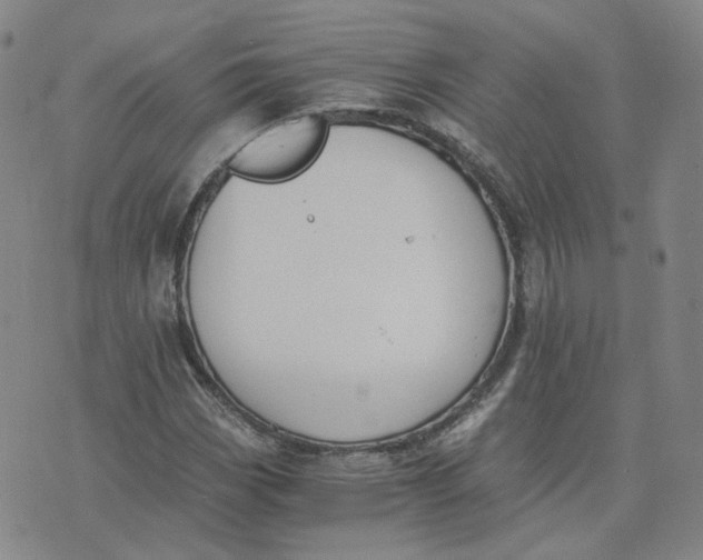 X0000076251113200610191642