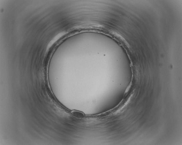 X0000076251114200610191642