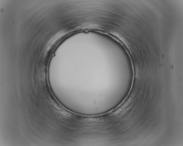 X0000076251115200610191642