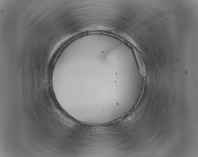 X0000076251116200610191642