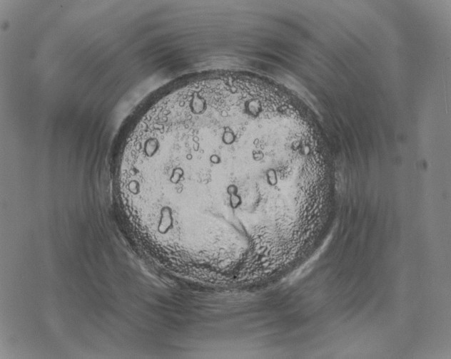 X0000076251117200610191642