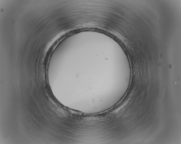 X0000076251118200610191642