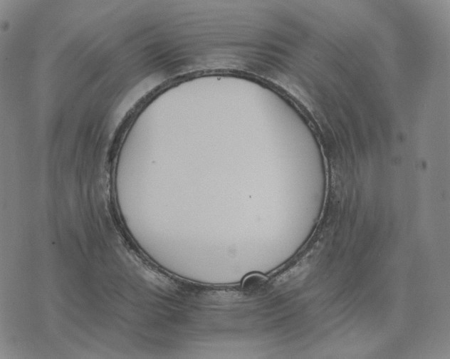 X0000076251119200610191642