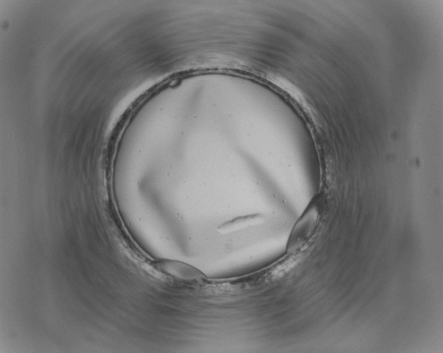 X0000076251120200610191642