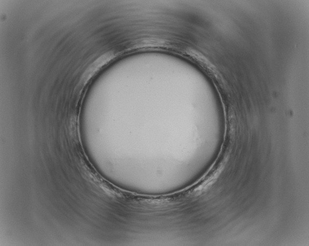 X0000076251121200610191642