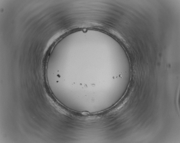 X0000076251122200610191642