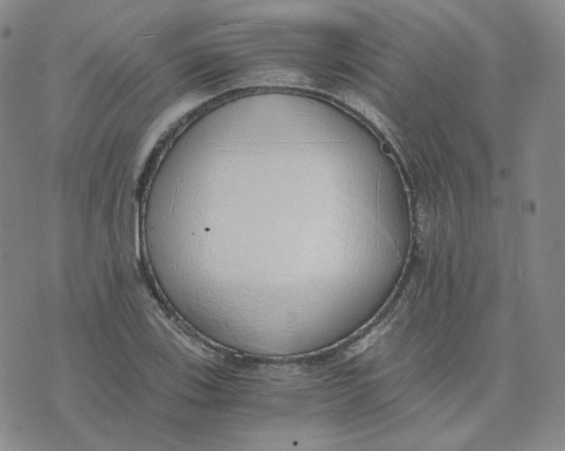 X0000076251123200610191642