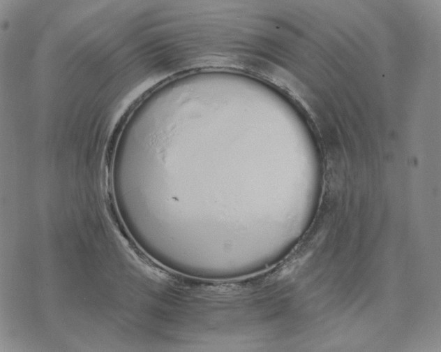 X0000076251125200610191642