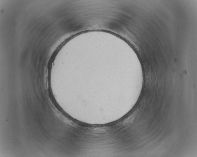 X0000076251126200610191642