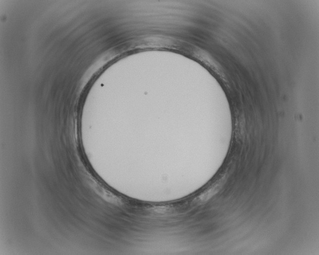 X0000076251130200610191642