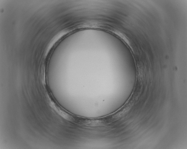 X0000076251131200610191642