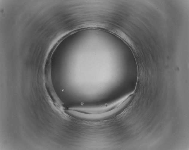 X0000076251132200610191642