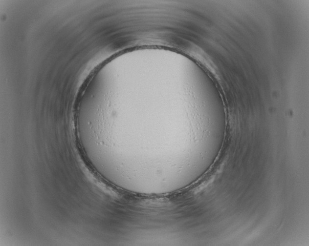 X0000076251133200610191642