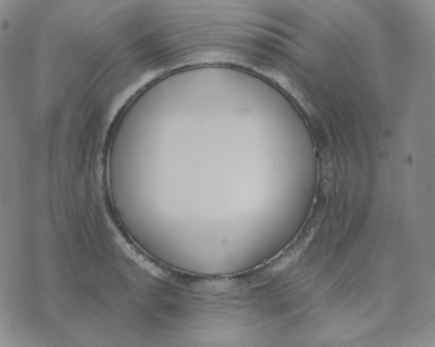 X0000076251134200610191642