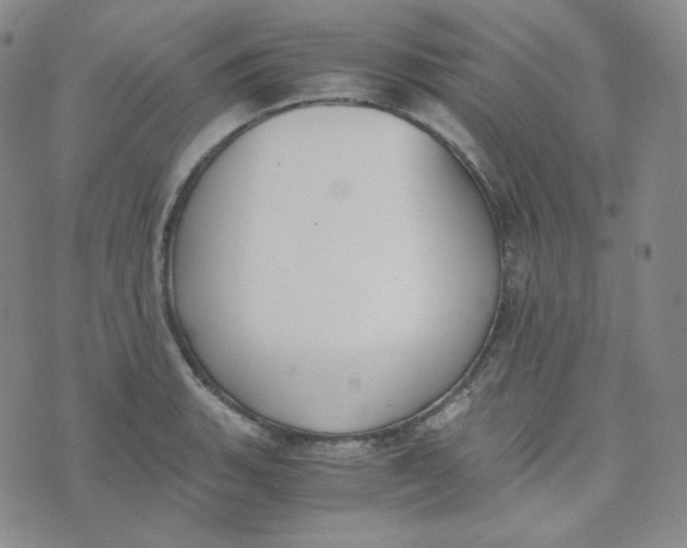 X0000076251135200610191642