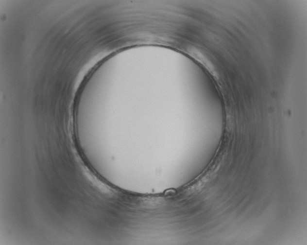 X0000076251136200610191642