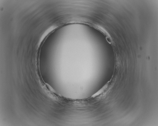 X0000076251138200610191642