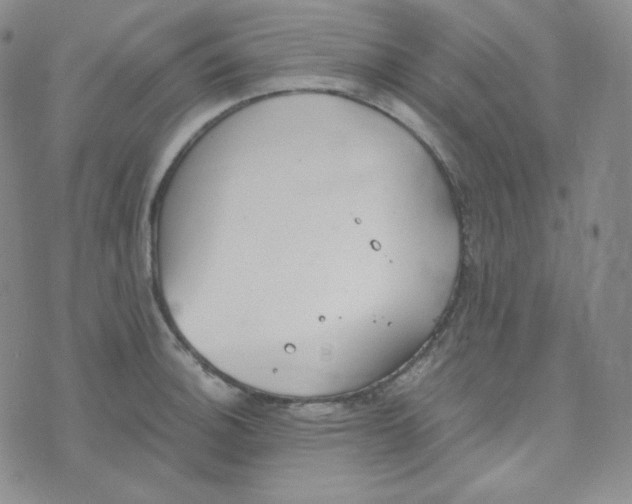 X0000076251140200610191642